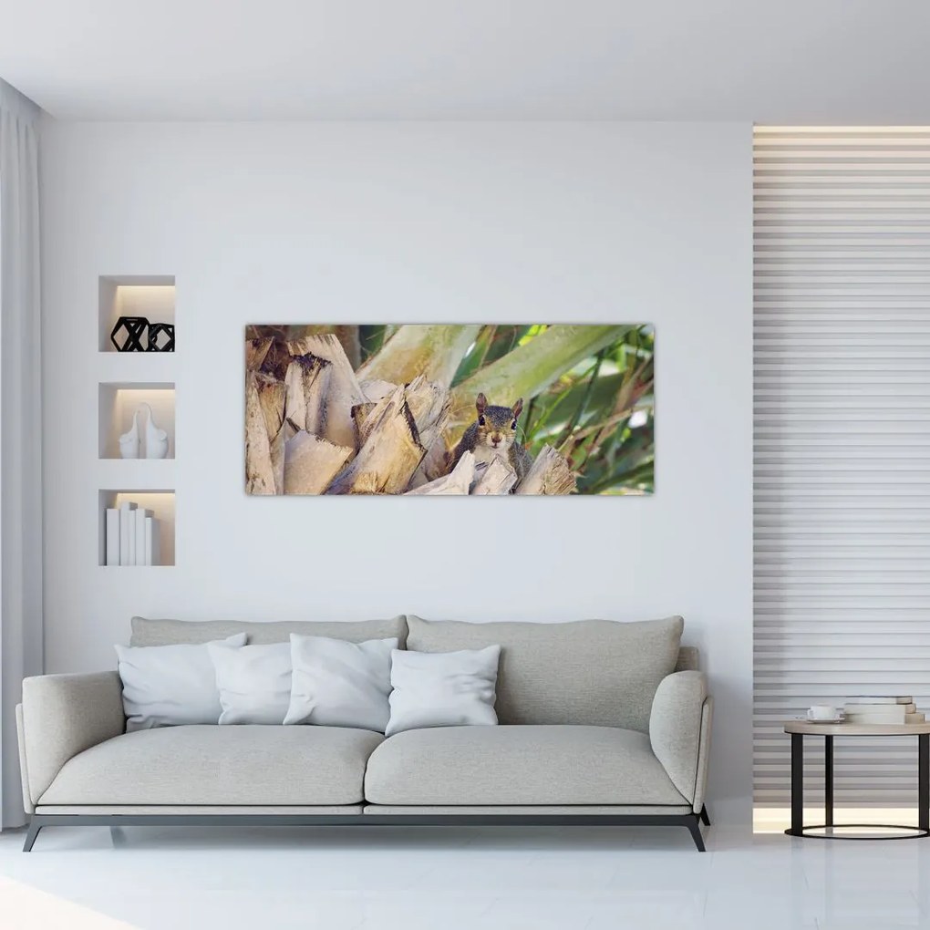 Tablou cu veverița în copaci (120x50 cm)
