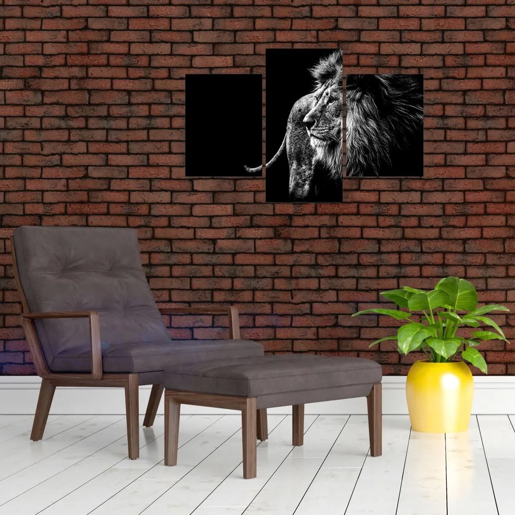 Tablou - Leu, alb și negru (90x60 cm)