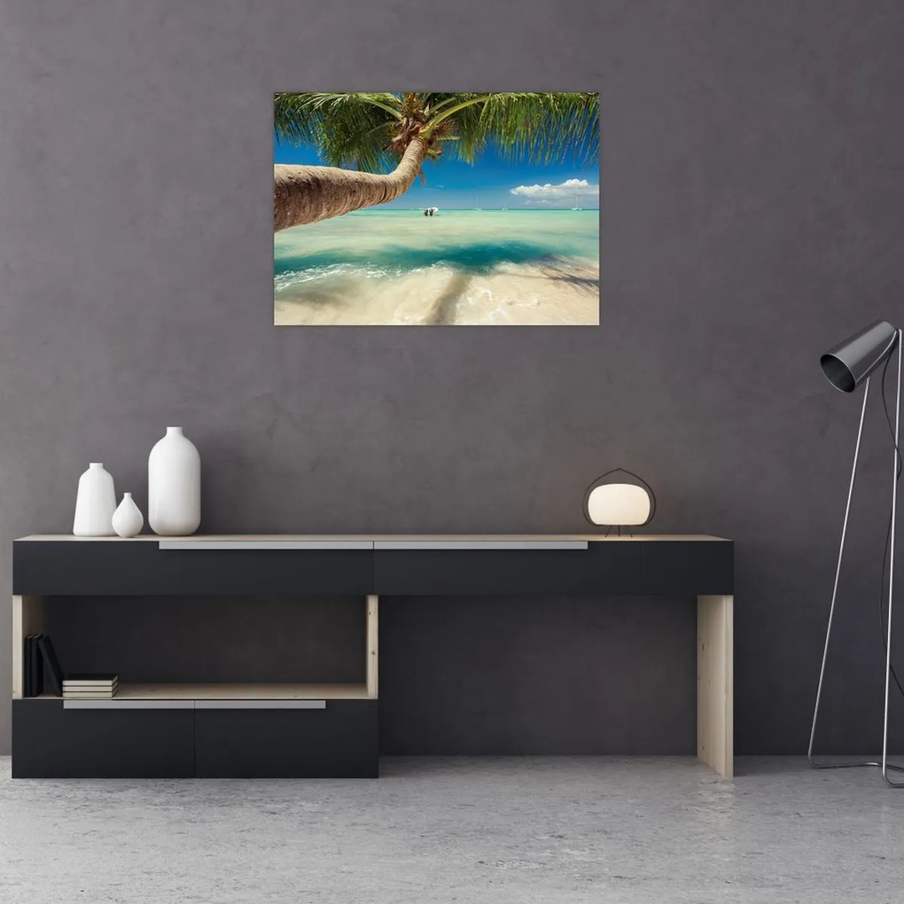 Tablou pe sticlă - Mare curată cu palmier (70x50 cm)