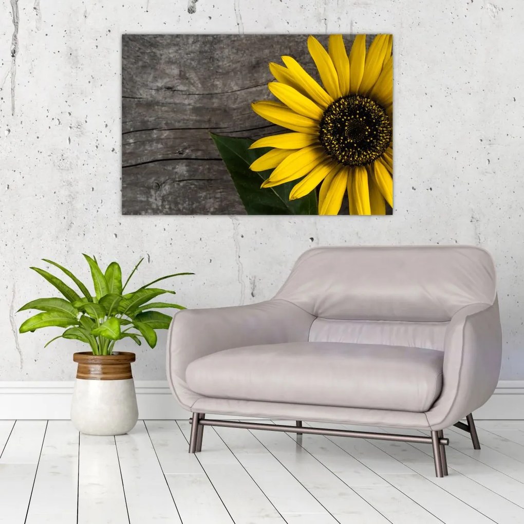 Tablou - Floare de floarea soarelui (90x60 cm)