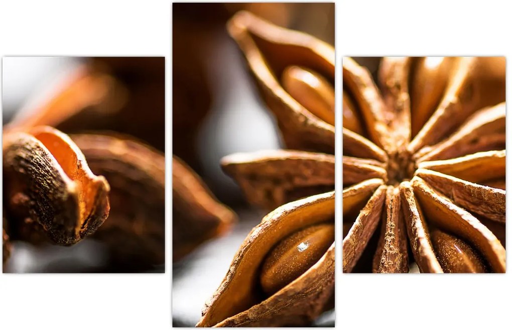 Tablou - Anason (90x60 cm)