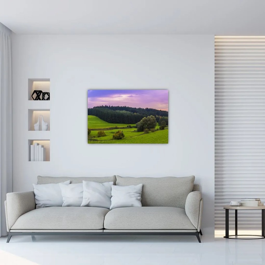 Tablou cu lunca (90x60 cm)