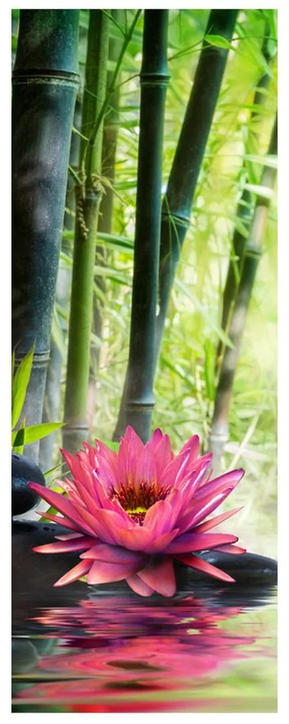Fotojaluzele R012051R57150 (57x150 cm)