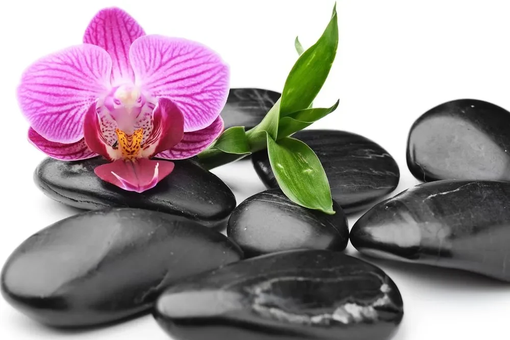 Tablou pietre wellness de masaj