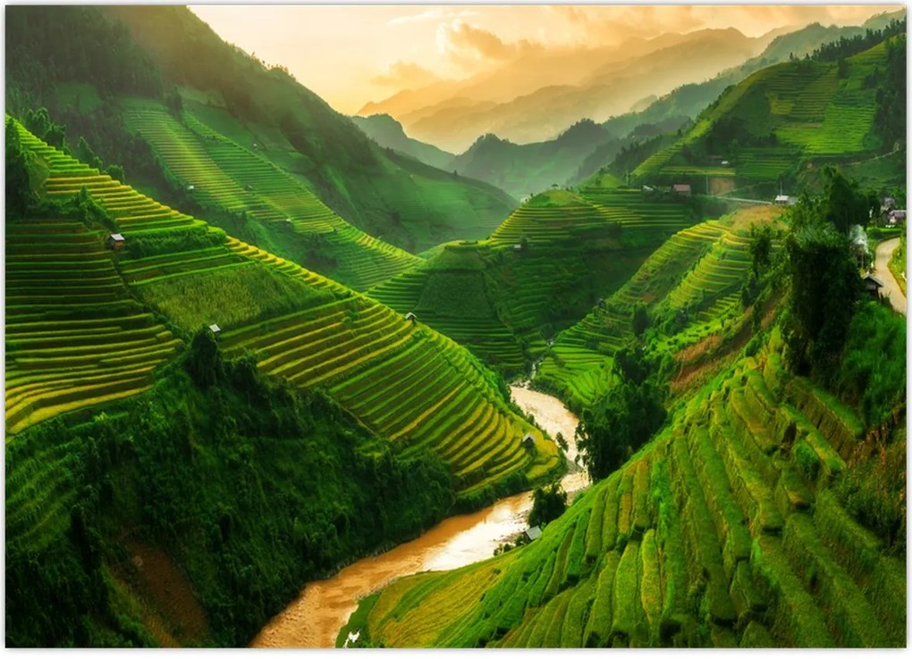 Tablou - Terase de orez Mu Cang Chai (70x50 cm)