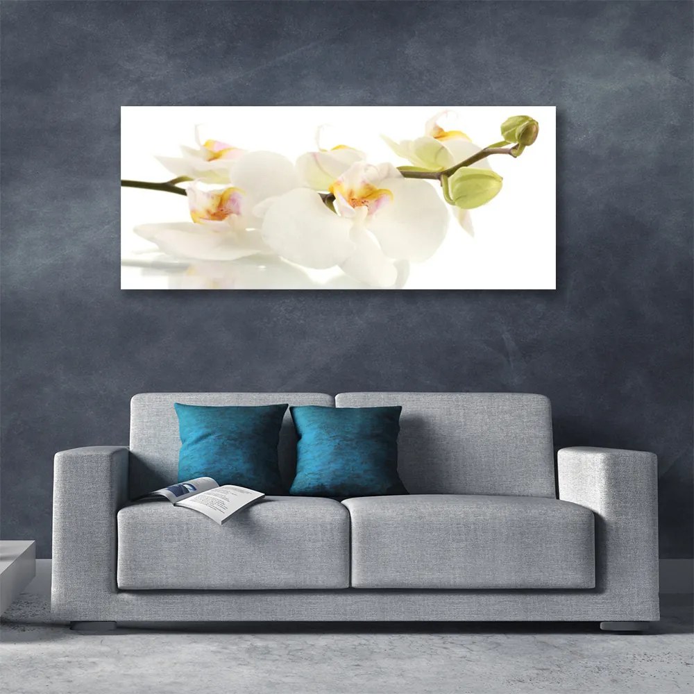 Tablou pe panza canvas Flori Floral alb