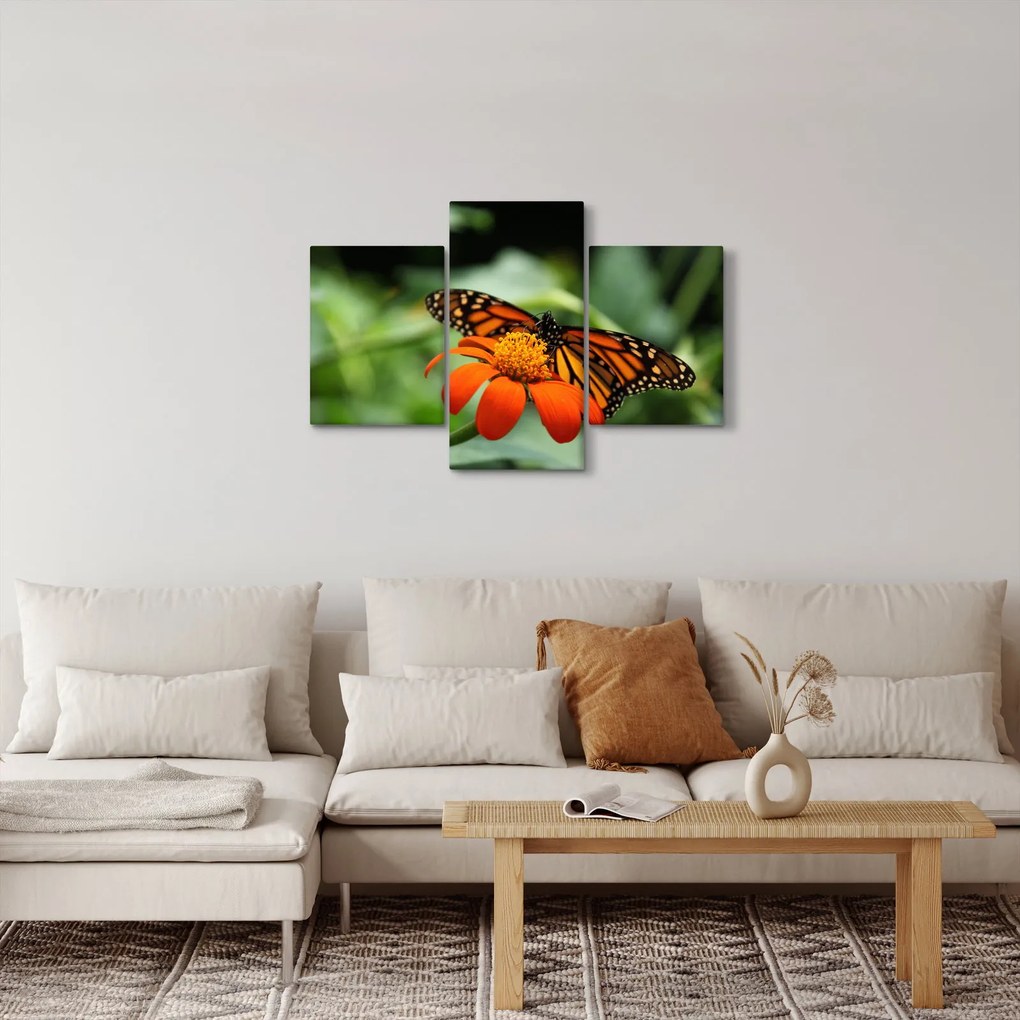 Tablou cu fluture pe floare (90x60 cm)