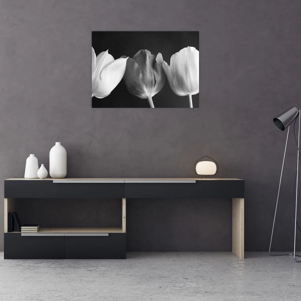 Tablou pe sticlă - Lalele alb negre (70x50 cm)