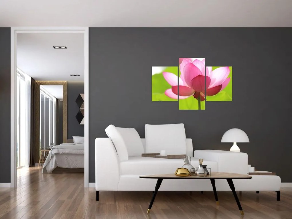 Tablou cu flori de lotus (90x60 cm)