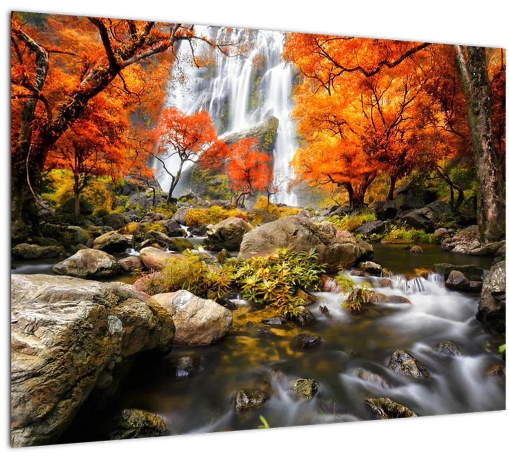 Tablou pe sticlă - Cascade în pădurea portocalie (70x50 cm)