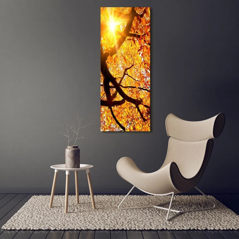 Tablou pe pânză canvas Toamna copac