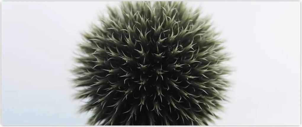 Tablou - Sfere de flori (120x50 cm)