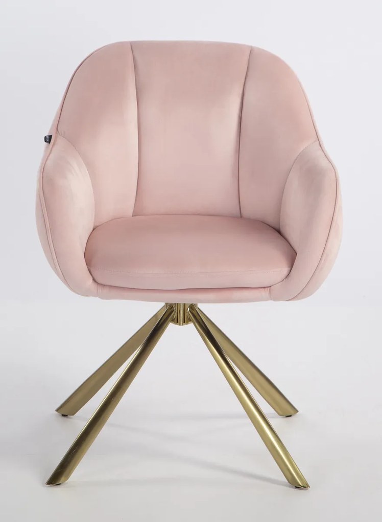 HR2055 BAZĂ STEA Scaun Roz Pudra din Catifea cu Bază Aurie