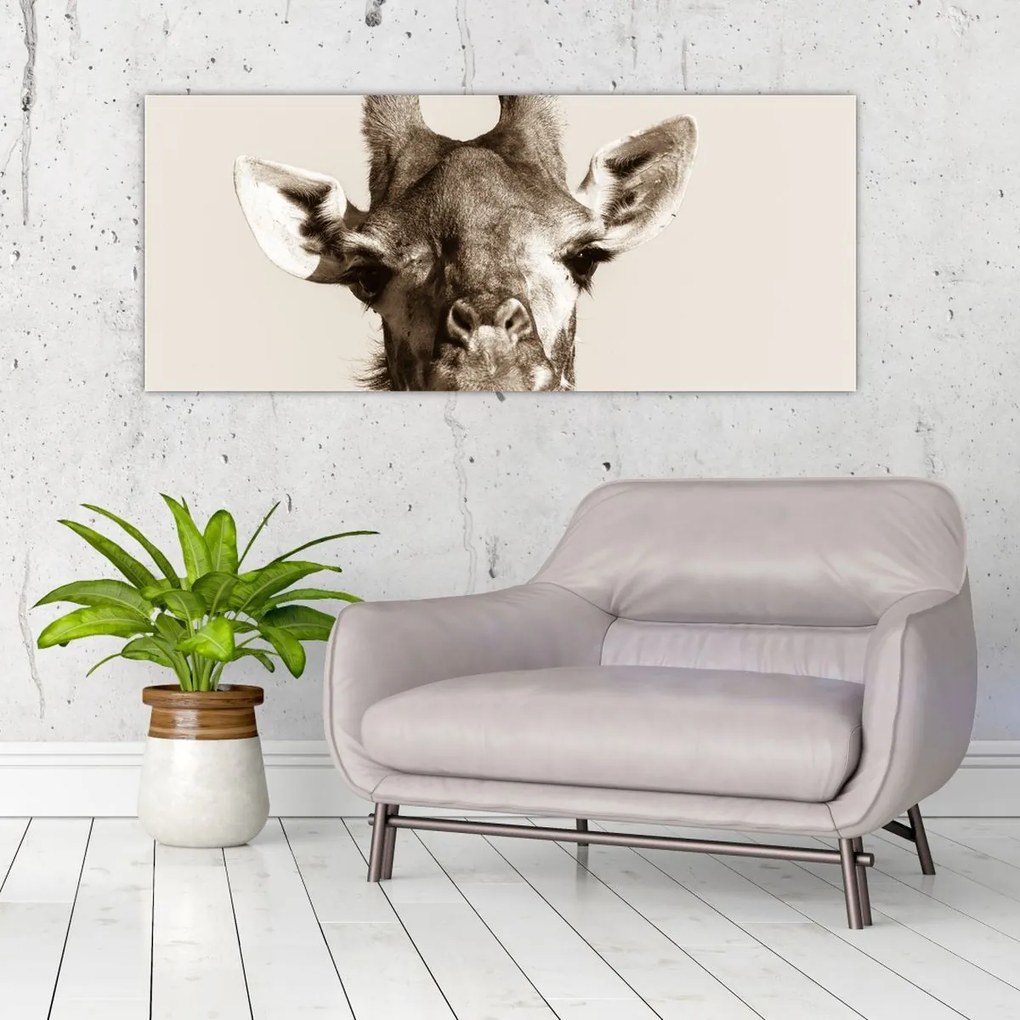Tablou - Portret de girafă, de epocă (120x50 cm)