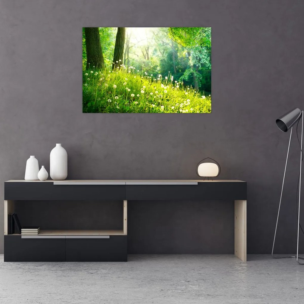 Tablou - Pajiște magică plină de păpădii (90x60 cm)