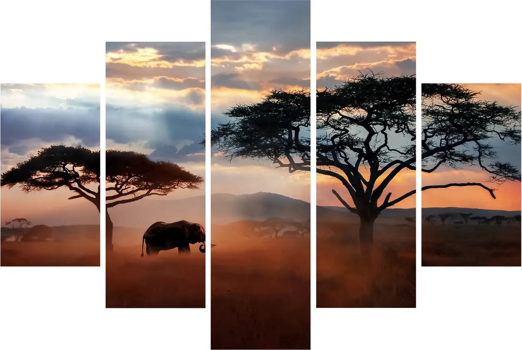 Tablou - Parcul Național Serengeti, Tanzania, Africa (150x105 cm)