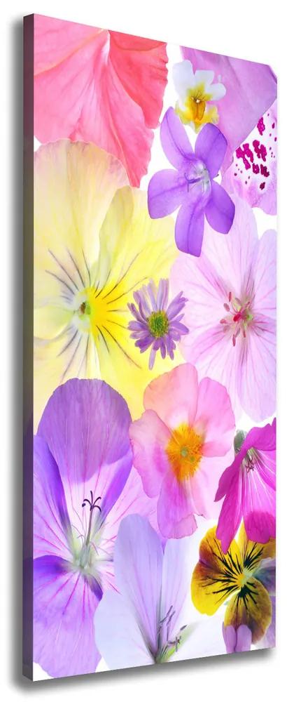 Tablou pe pânză canvas Flori colorate