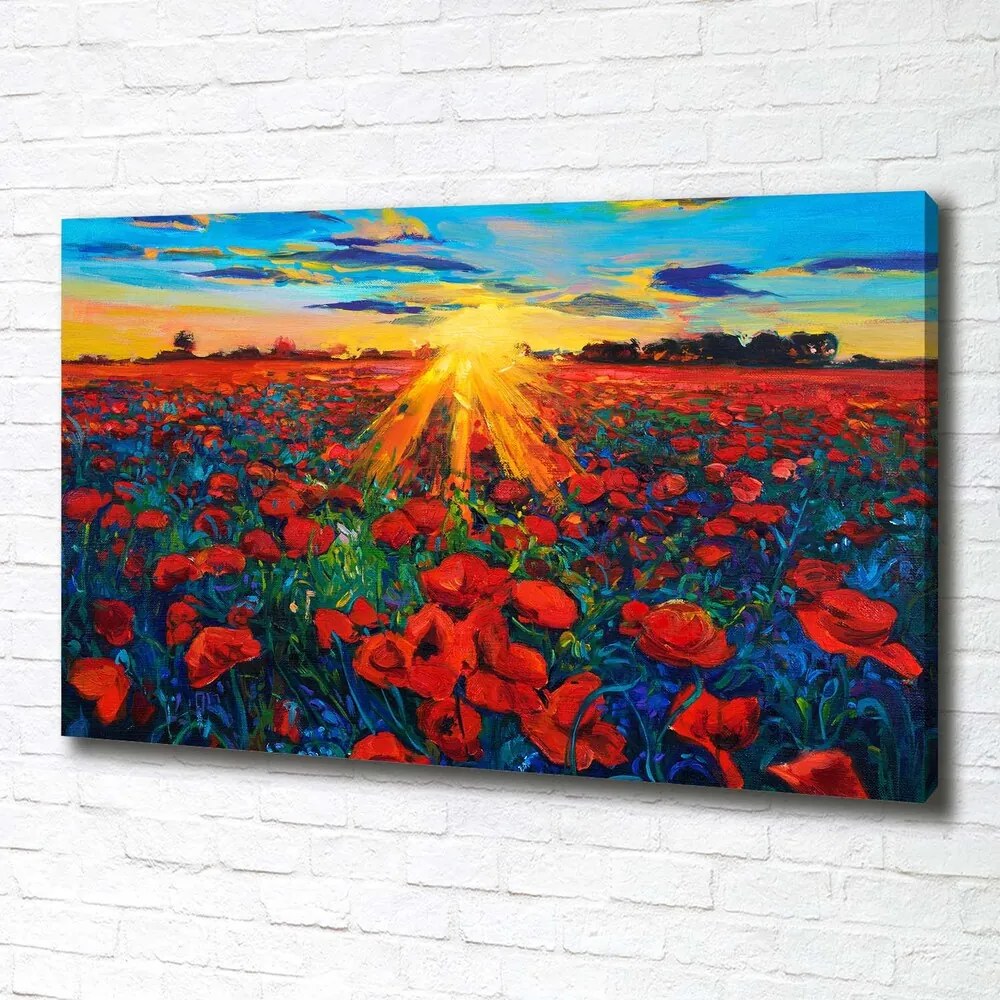 Tablou pe pânză canvas Câmp de maci