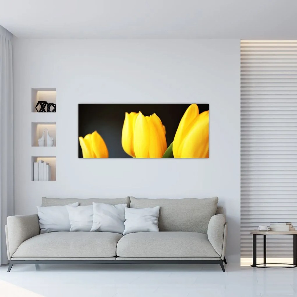 Tablou cu lalele (120x50 cm)