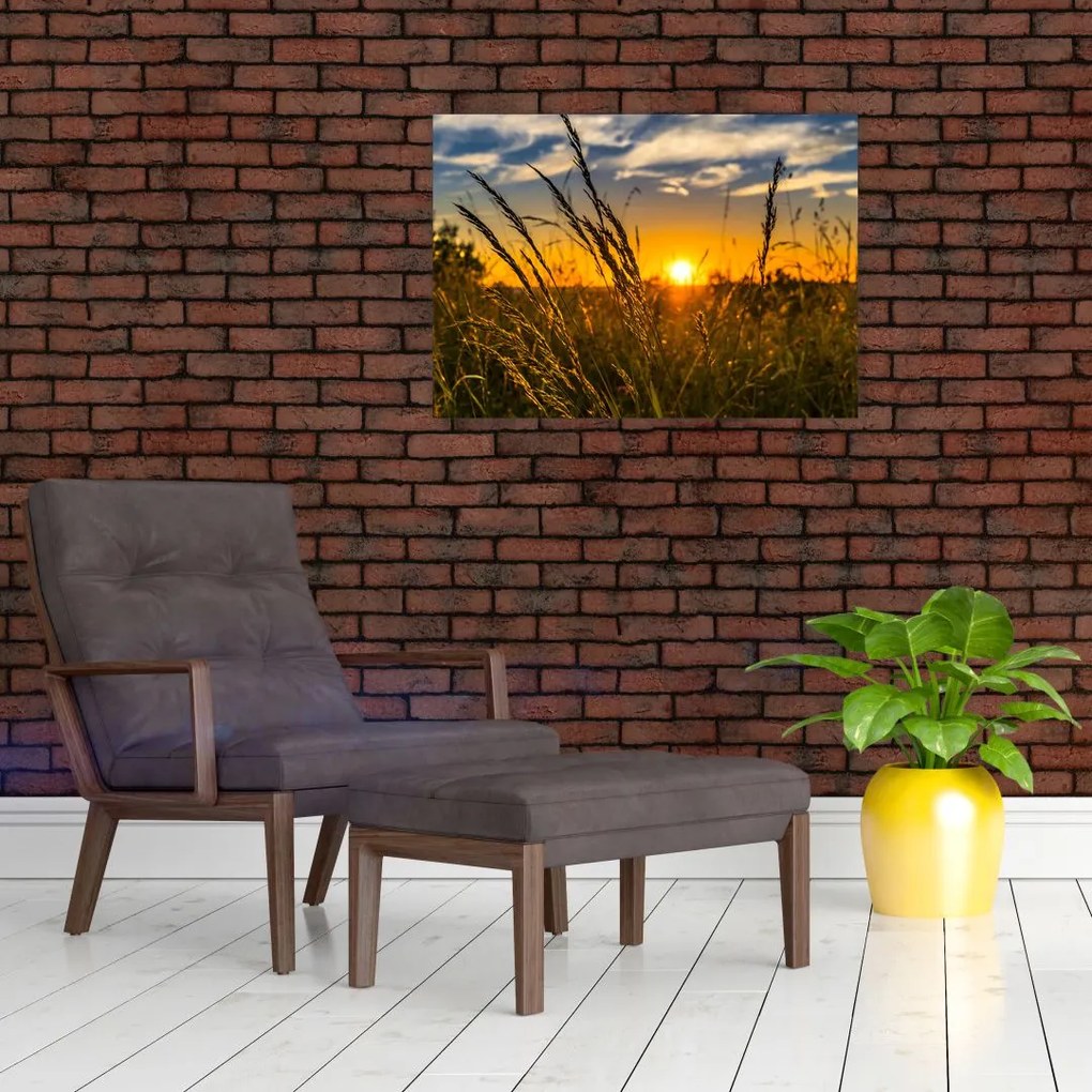 Tablou cu câmp în apus de soare (70x50 cm)