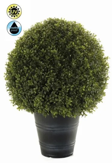 Plante de exterior - Boxwood ball UV - 68 cm