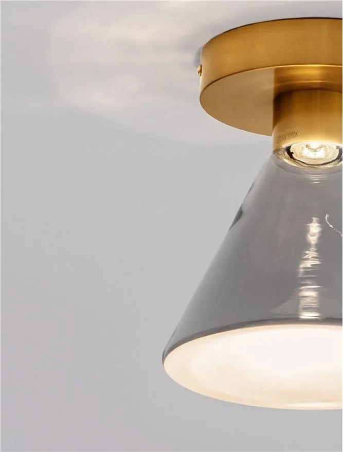 Plafoniera, Spot aplicat LED, Metal, Sticla, Fumuriu, Voi