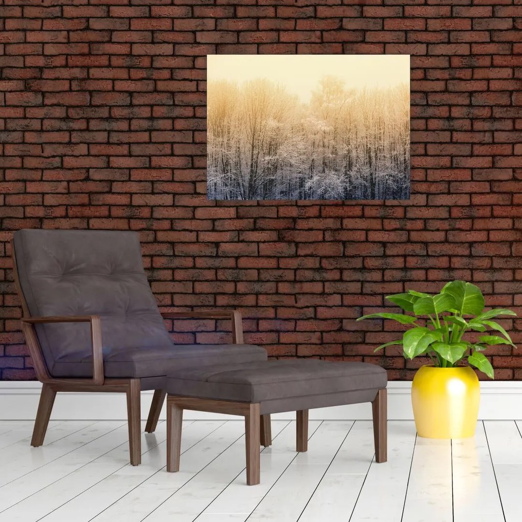 Tablou cu pădure geroasă (70x50 cm)