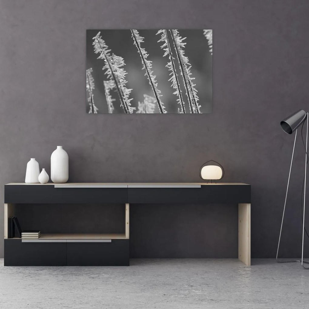 Tablou - Frig de îngheț (90x60 cm)