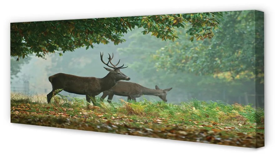 Tablouri canvas pădure toamna Deer