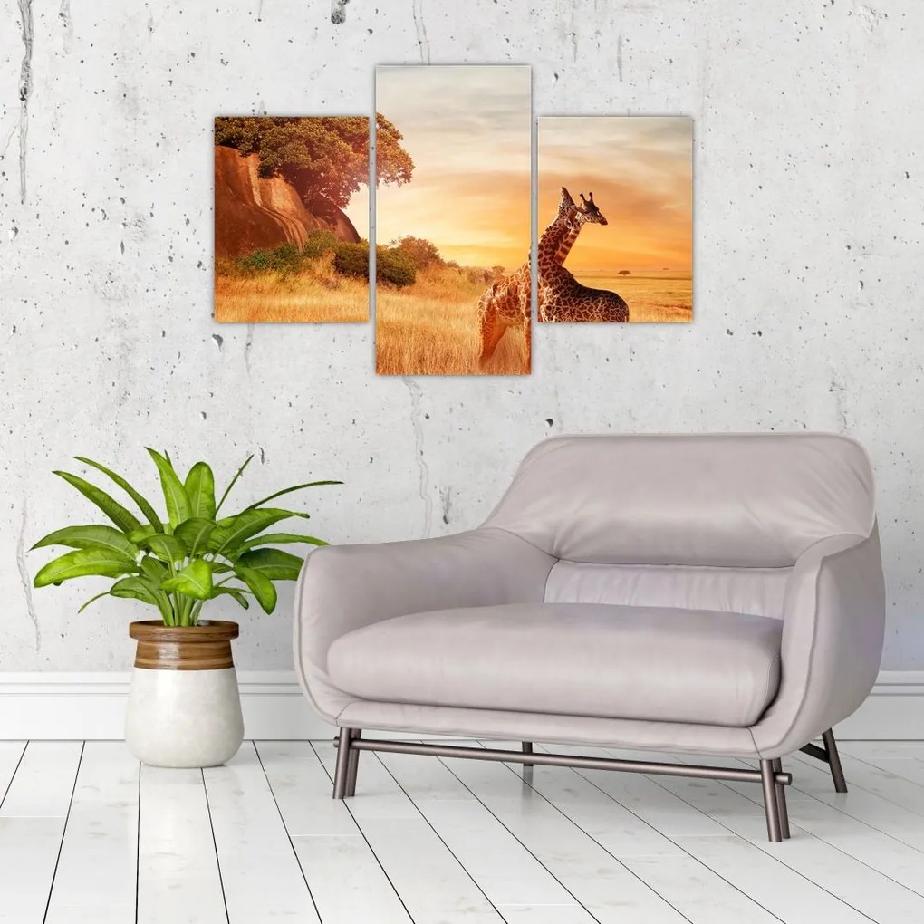 Tablou Girafe în Africa (90x60 cm)