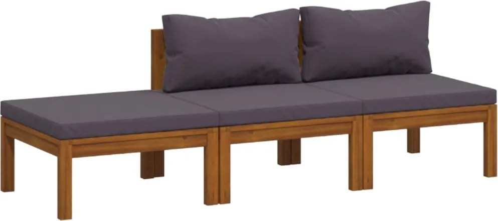 vidaXL Set mobilier de grădină cu perne, 3 piese, lemn masiv de acacia