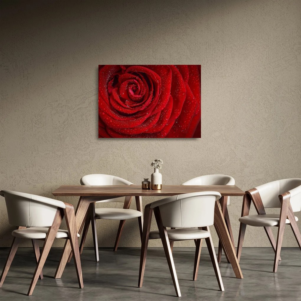 Tablou pe sticlă - detaliu de trandafir (70x50 cm)