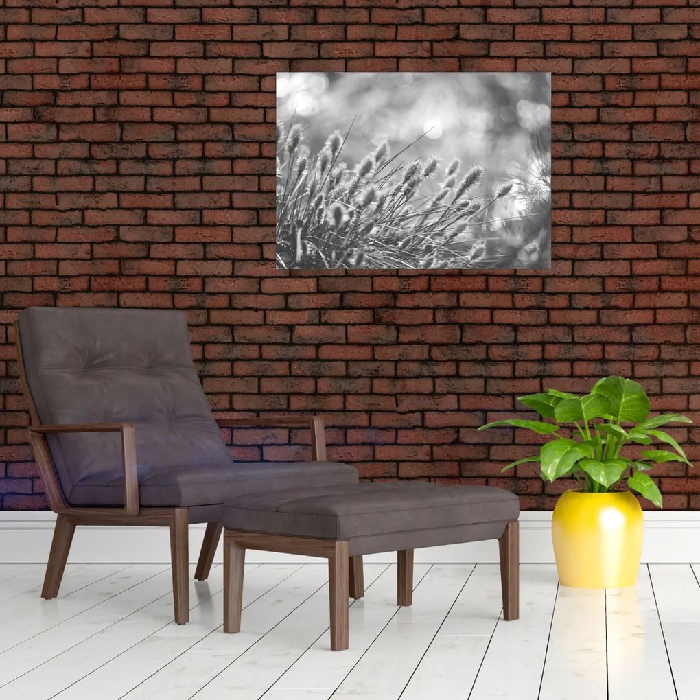 Tablou - Iarbă moale bej N⁰1 (70x50 cm)