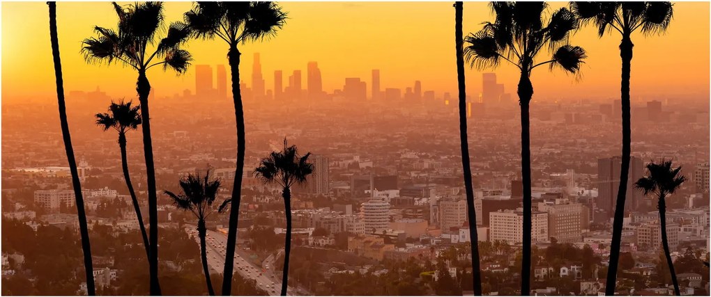 Tablou - Panorama din Los Angeles (120x50 cm)
