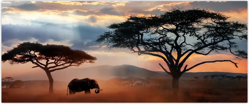 Tablou - Parcul Național Serengeti, Tanzania, Africa (120x50 cm)