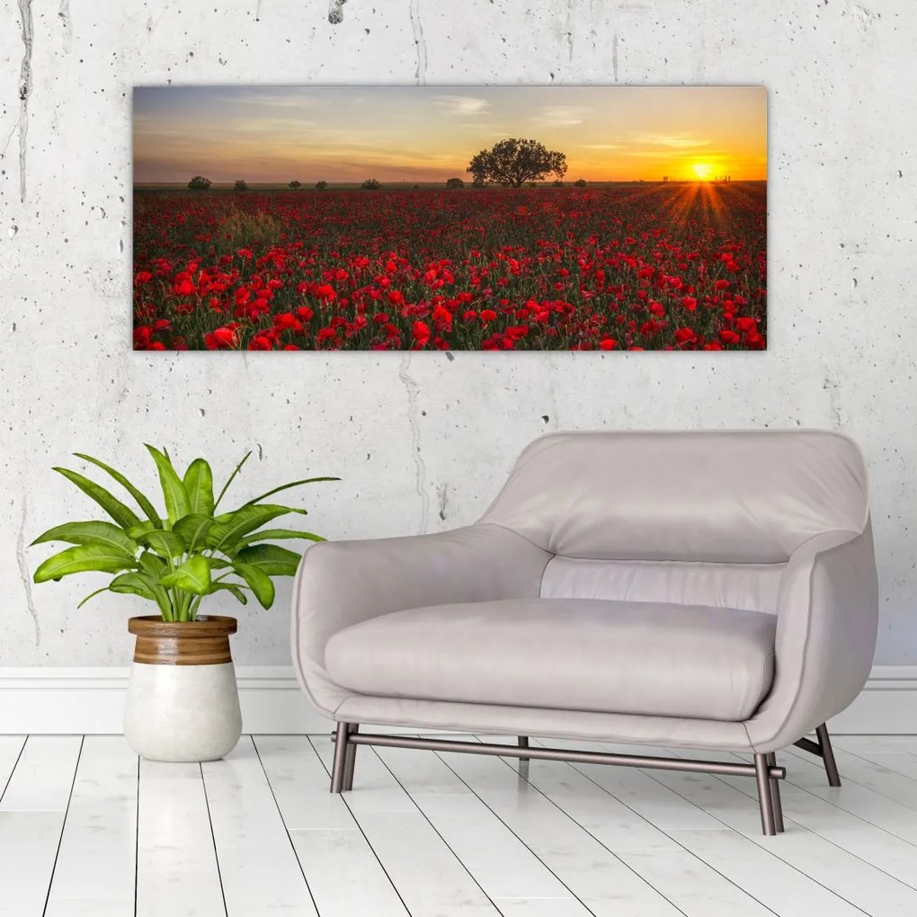 Tablou cu lunca și macii (120x50 cm)