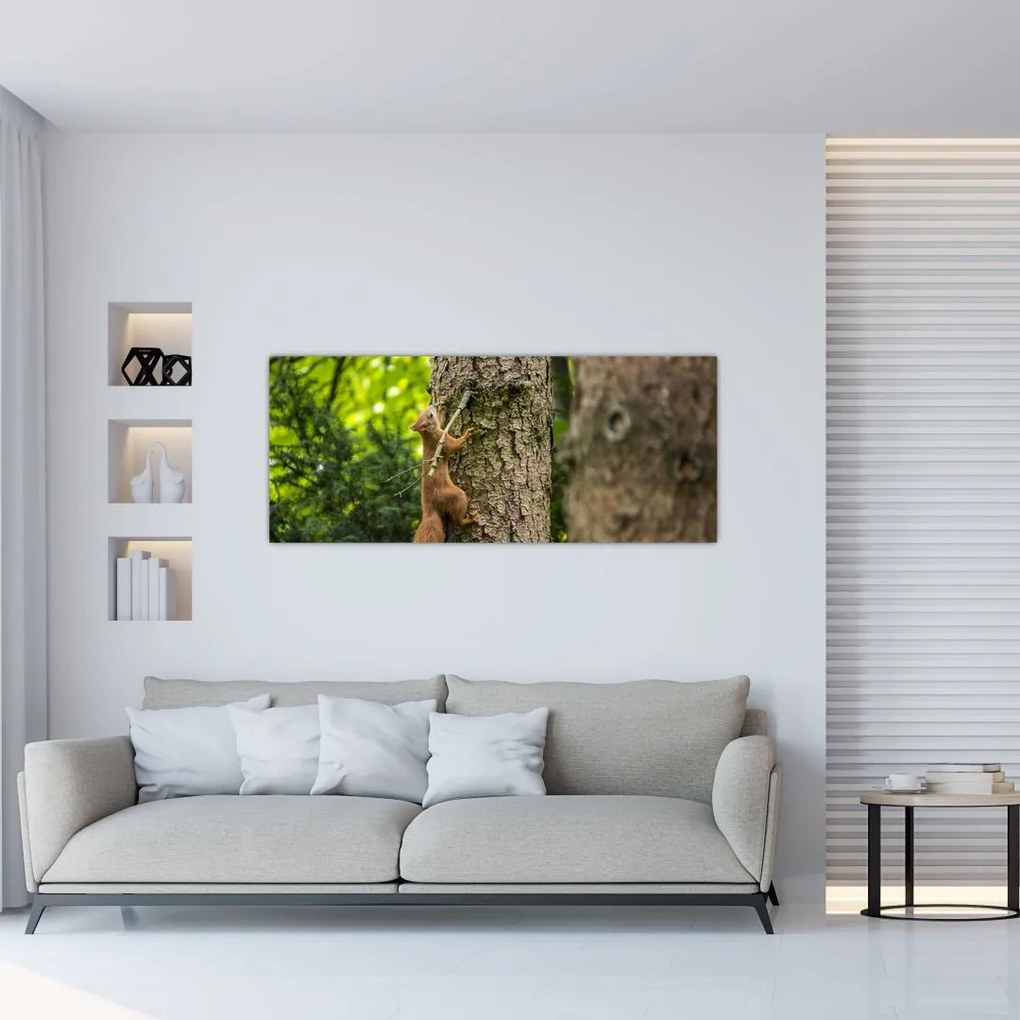 Tablou - Veverița (120x50 cm)