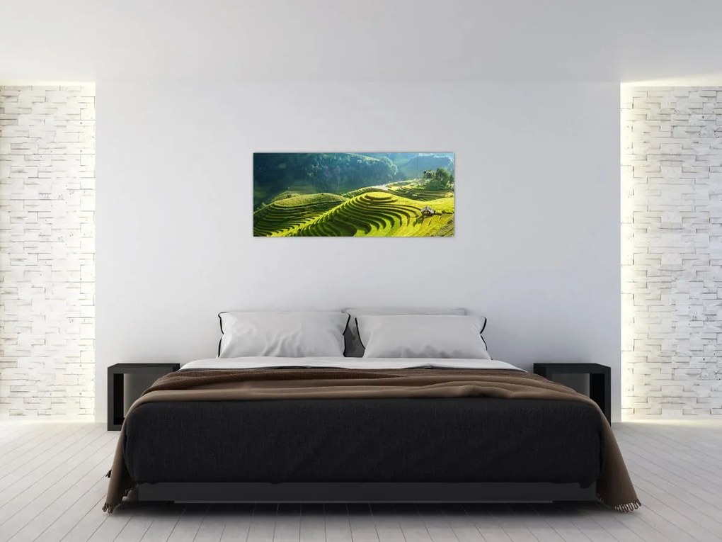 Tablou - Concert Terase de orez (120x50 cm)