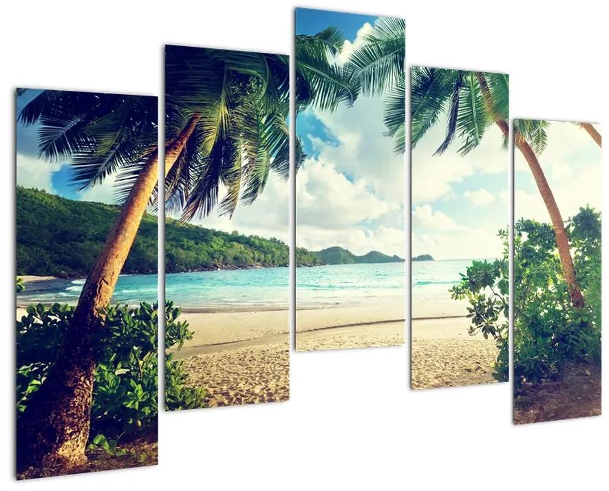 Tablou modern - palmieri pe plajă (125x90cm)