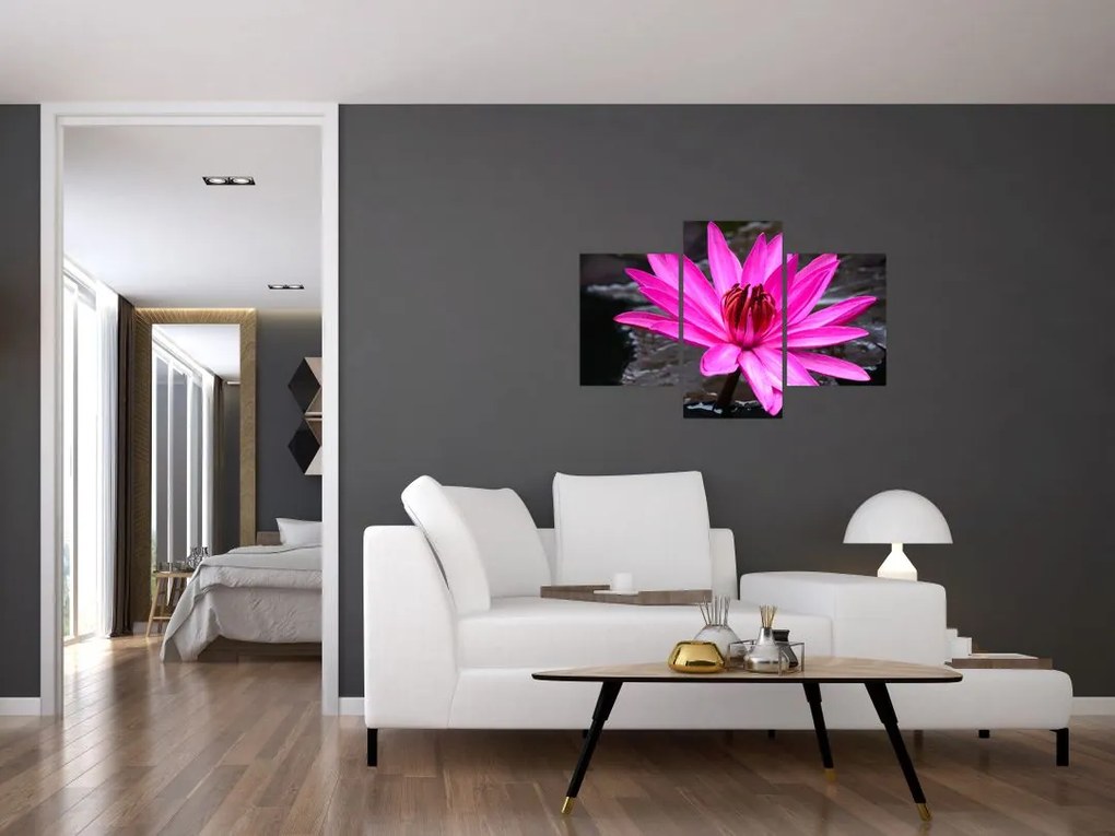 Tablou - floarea roz (90x60 cm)