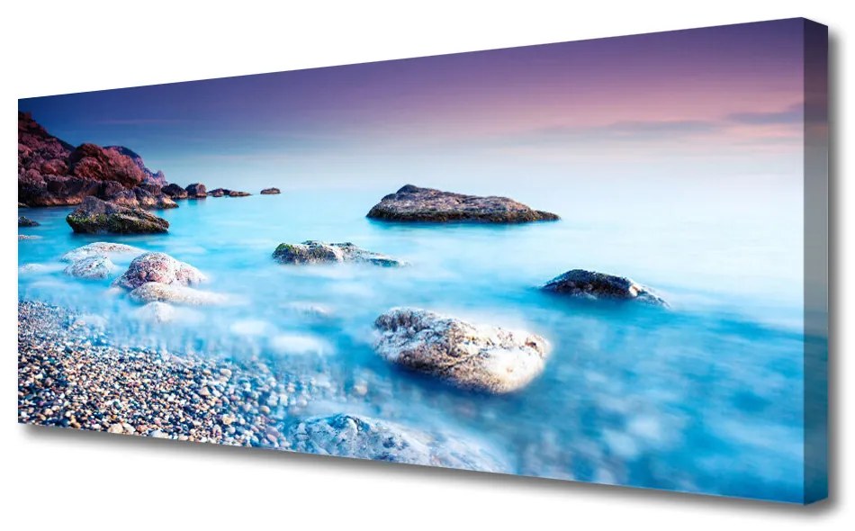 Tablou pe panza canvas Sea Stones Beach Peisaj Albastru Gri Roz