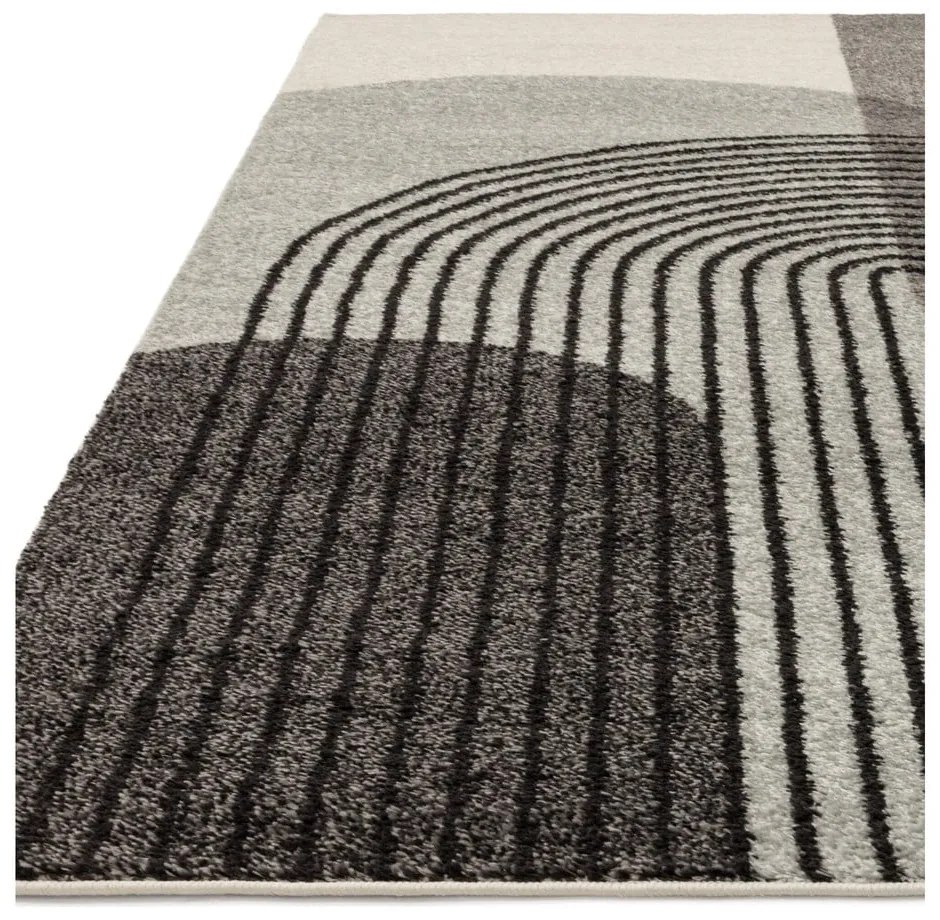 Covor gri 170x120 cm Muse - Asiatic Carpets