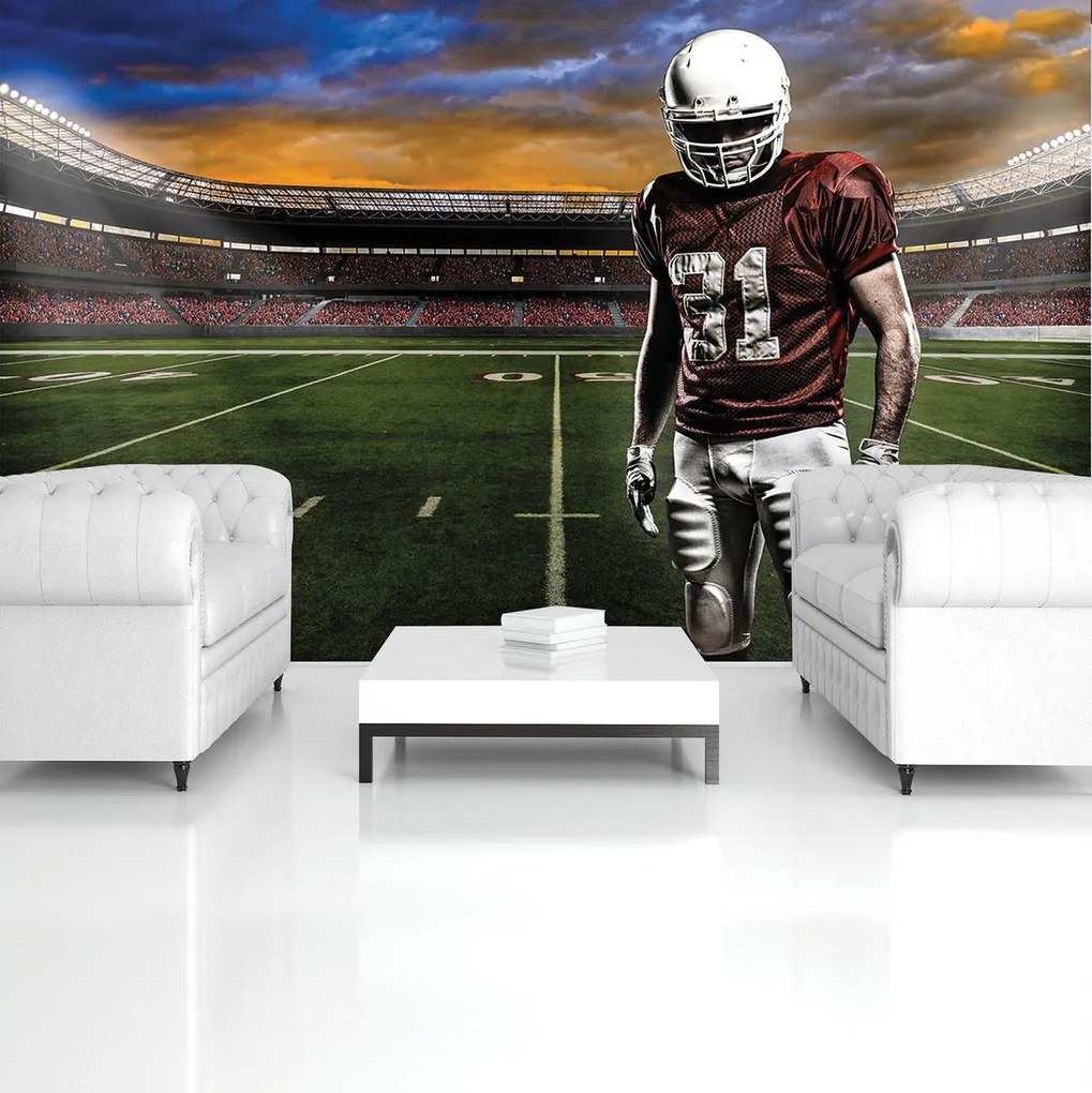 Fototapet - Stadionul american de fotbal (152,5x104 cm)