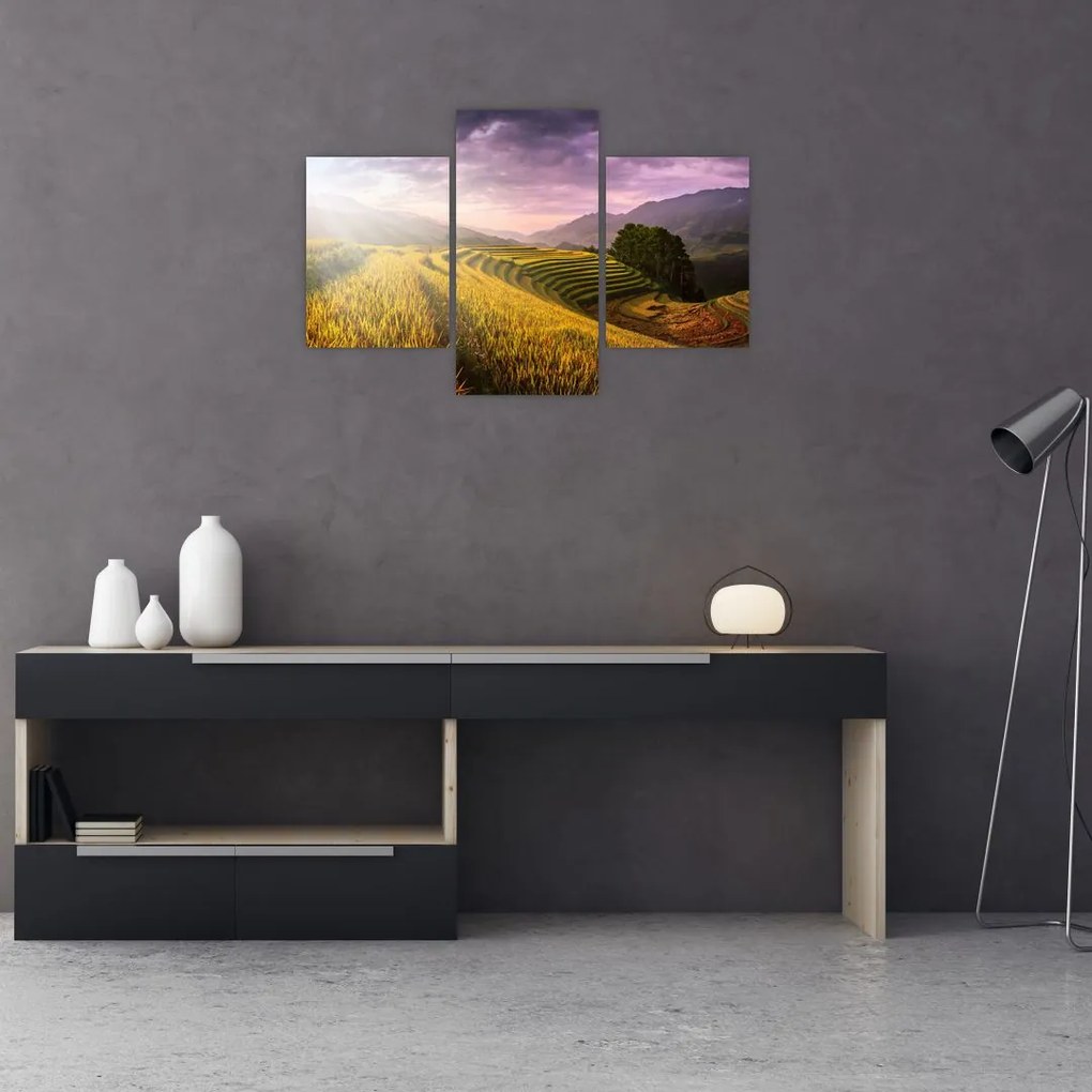 Tablou peisajului (90x60 cm)