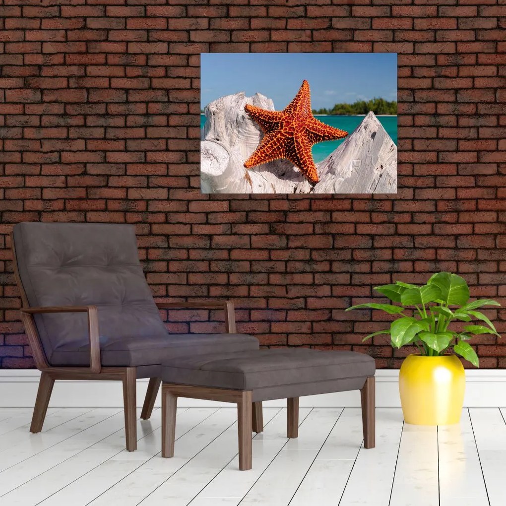 Tablou cu stea de mare (70x50 cm)