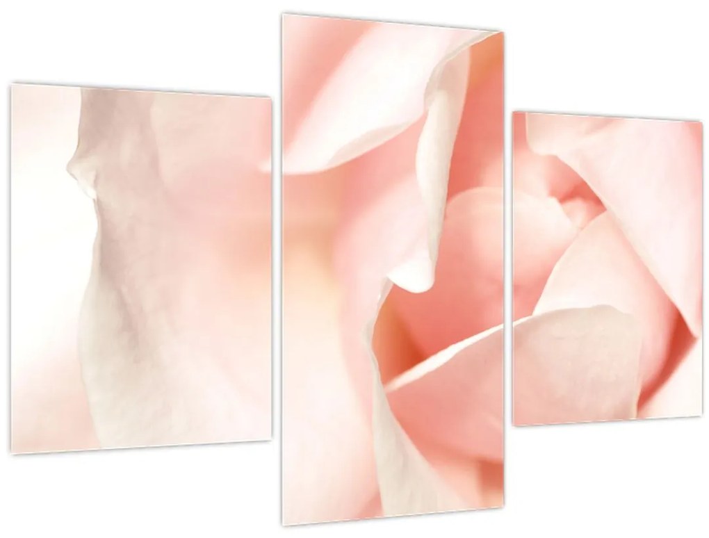 Tablou - Trandafiri (90x60 cm)