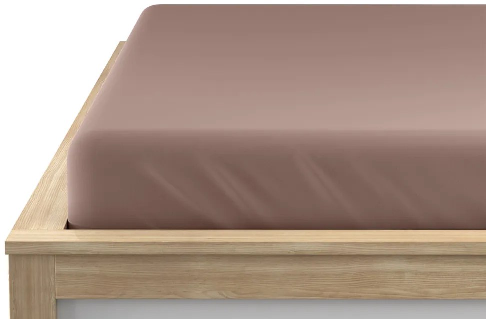 Cearsaf jersey EXCLUSIVE maro deschis 200x220 cm, 100% bumbac