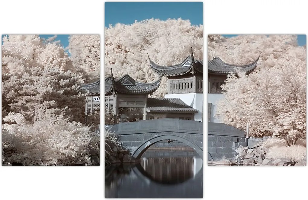 Tablou - pomi înfloriți în Asia (90x60 cm)