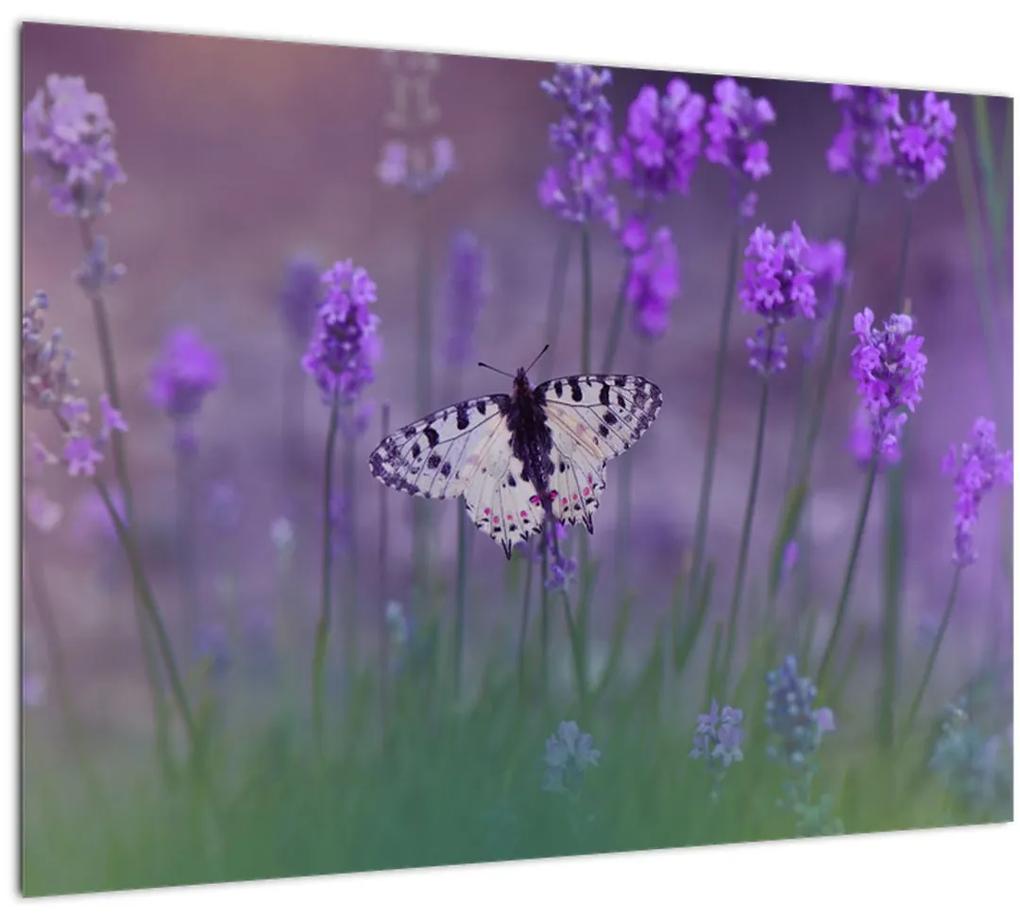 Tablou - fluture în lavandă (70x50 cm), în 40 de alte dimensiuni noi