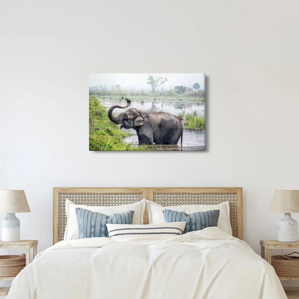 Tablou - Elefant de scăldat (90x60 cm)